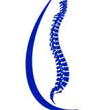 Sandown Chiropractic Clinic logo