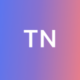 The N. avatar icon