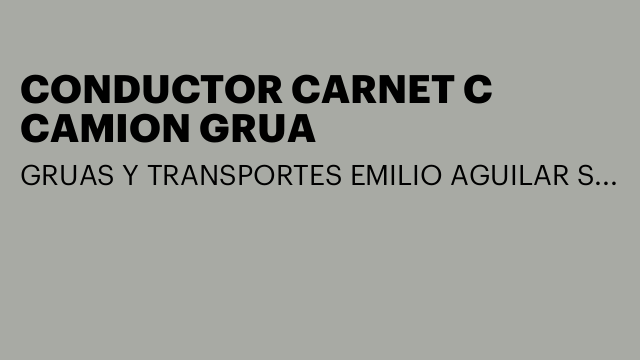 CONDUCTOR CARNET C CAMION GRUA