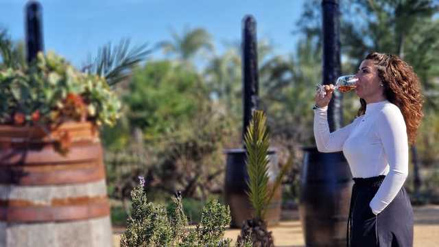 Becario Marketing y Publicidad