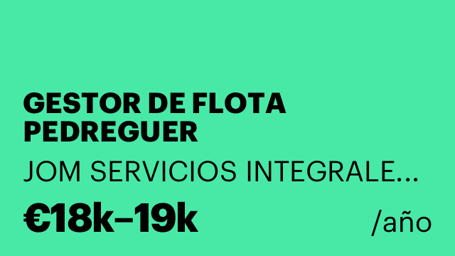 GESTOR DE FLOTA PEDREGUER