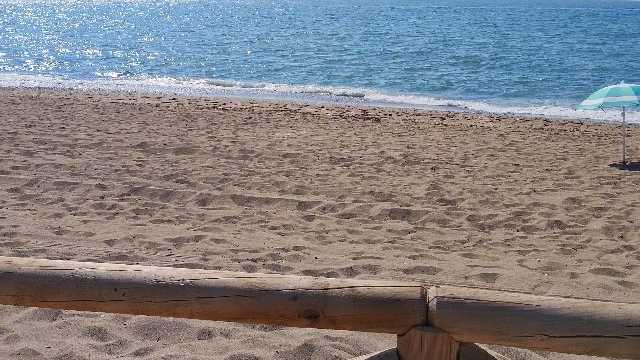 Preciso 4 azafatas para puerto banus