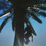 Canariensis Lanzarote avatar icon