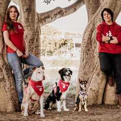 company photo