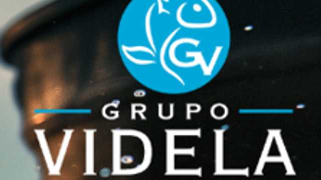 Repartidor furgoneta- canal alimentación