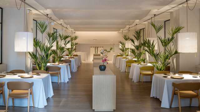 Camarero/a de Restaurante