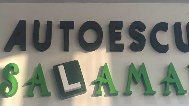 Profesor/a Autoescuela