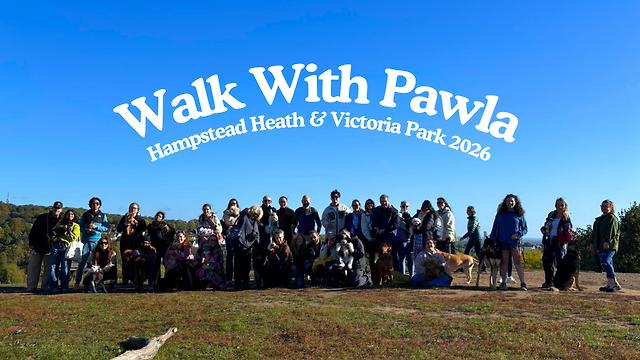 Dog Walk Group Leader (Part-Time / Casual)