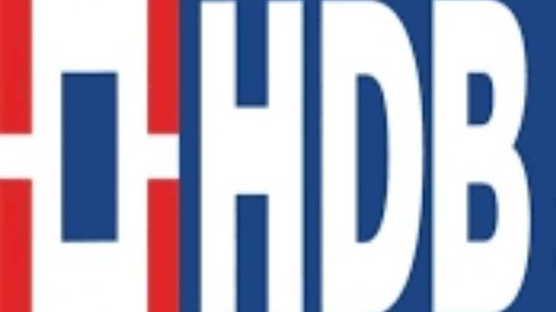 HDB FINANCIAL SERVICES LTD cover image