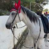 Alberto P. avatar icon