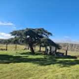 LA MAZA F. avatar icon