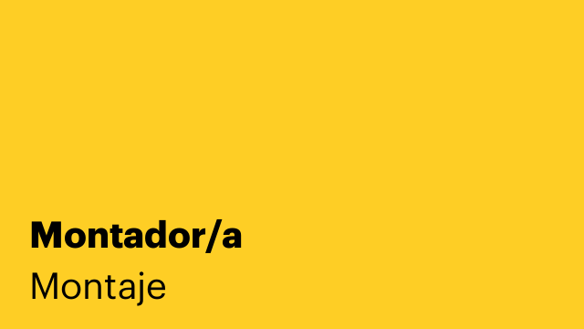 Montador/a