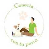 Karim R. avatar icon