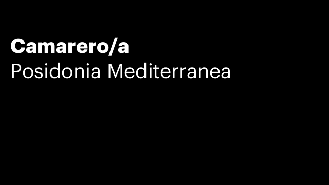 Camarero/a