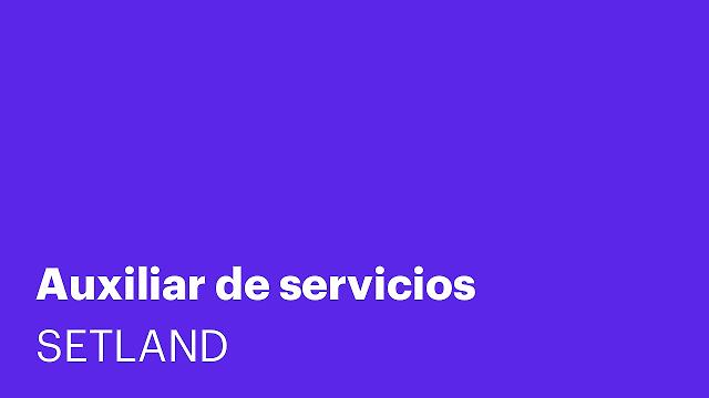Auxiliar de servicios