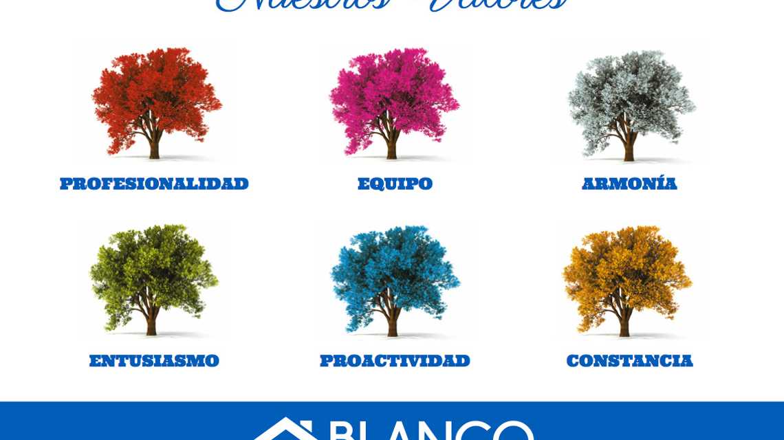 Fincas Blanco  cover image