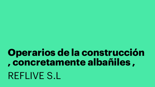 Operarios de la construcción , concretamente albañiles , fontaneros