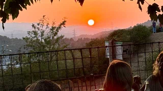 Camarero/a de Sala/Terraza