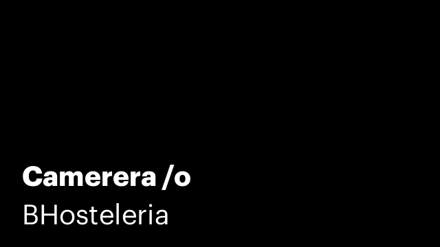 Camerera /o