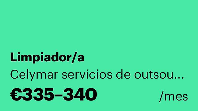 Limpiador/a