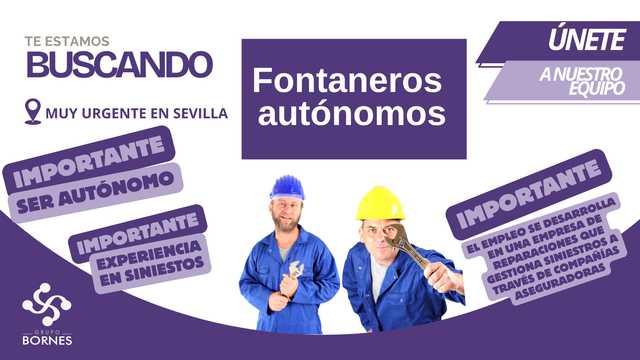 Fontanero/a