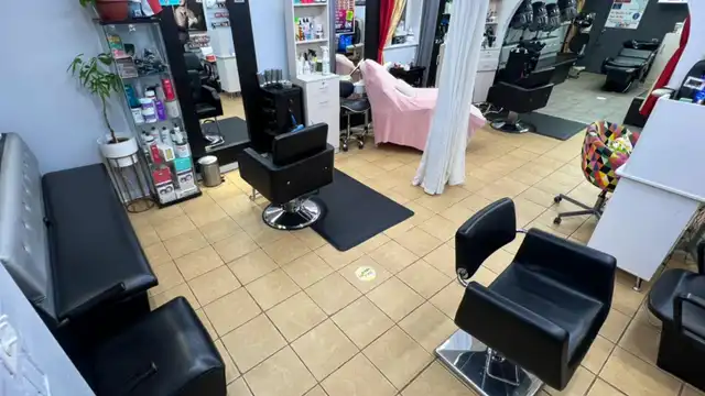 Hair Stylist Assistant