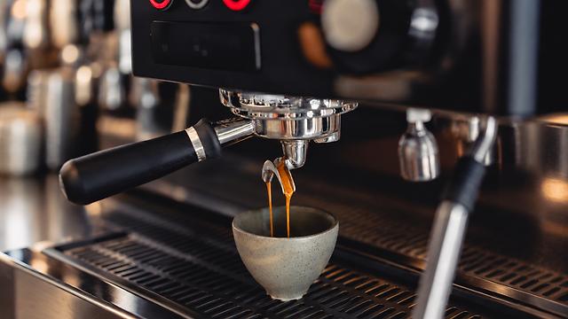 Barista