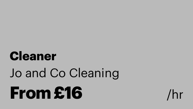 Cleaner
