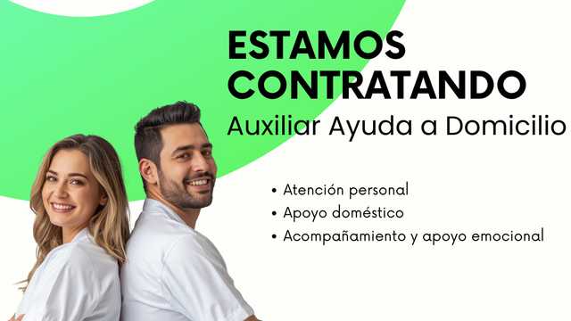 Auxiliar ayuda a domicilio - Castellón