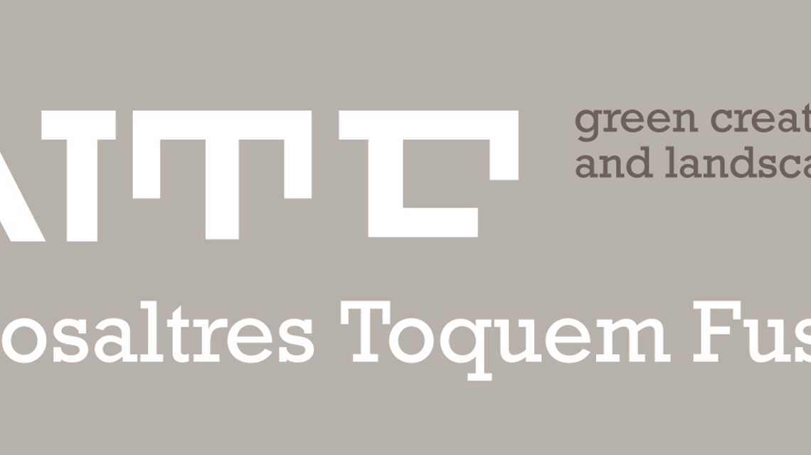 Nosaltres Toquem Fusta cover image