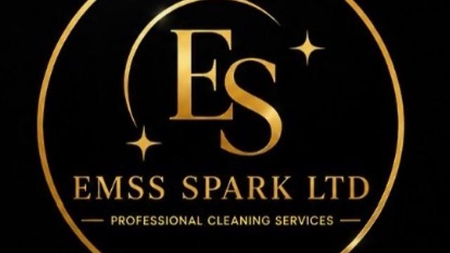 Cleaner