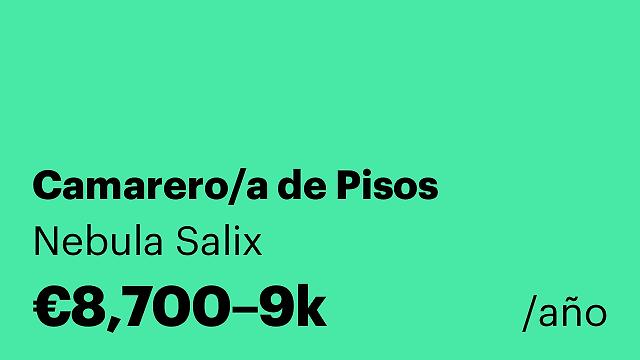 Camarero/a de Pisos