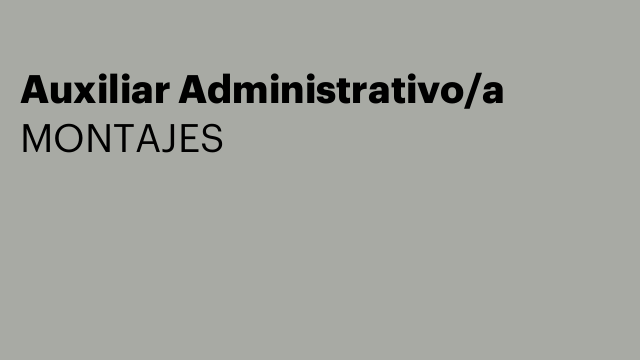 Auxiliar Administrativo/a