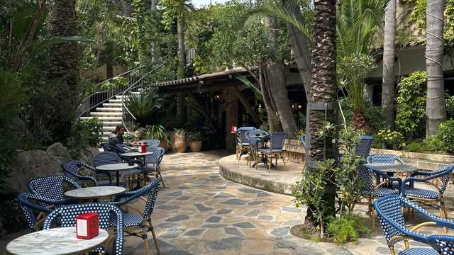 Ayudante de Camarero/a