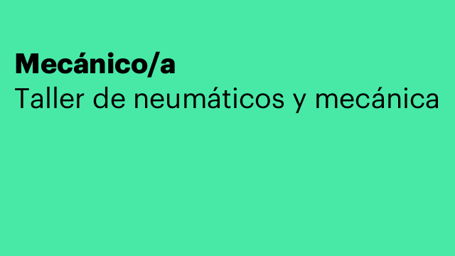 Mecánico/a