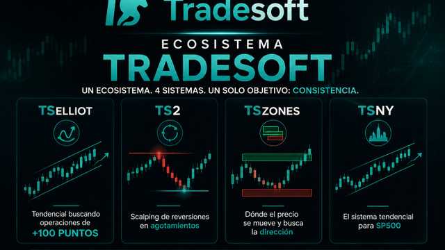 Asesor/a Comercial