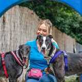 Battersea Dogs and Cats Home logo