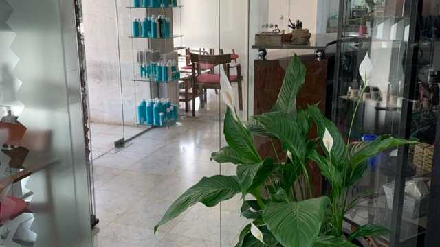 Auxiliar de Peluqueria y Estética