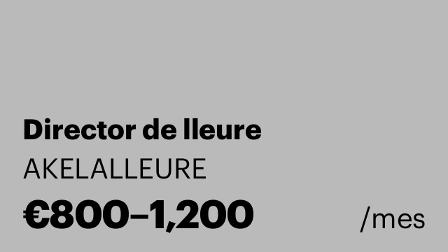 Director de lleure