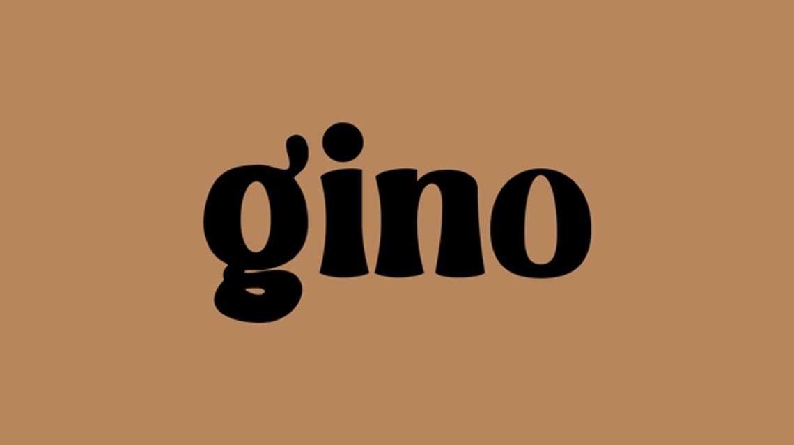 Gino  cover image