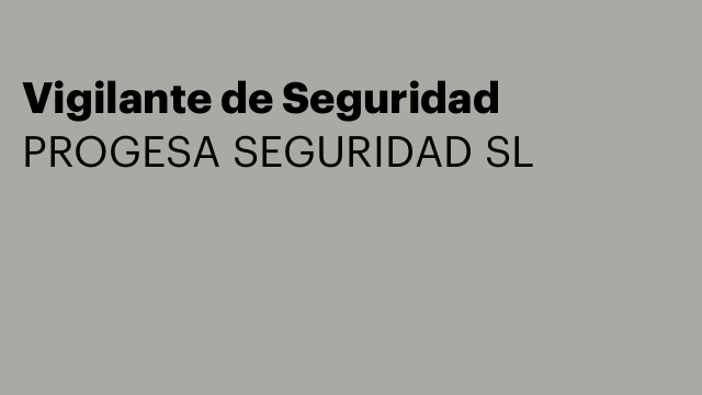 Vigilante de Seguridad