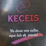 KECEIS SERVICES SL logo