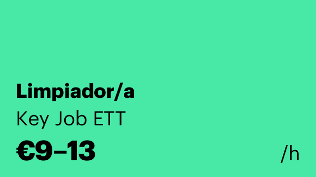Limpiador/a