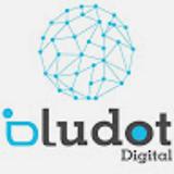 BluDot Digital avatar icon