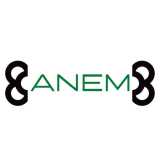 Anem L. avatar icon