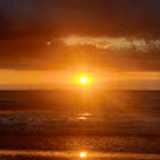 Tania M. avatar icon