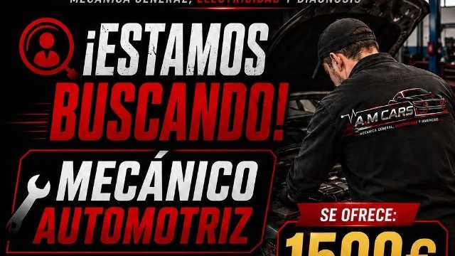 Mecánico/a