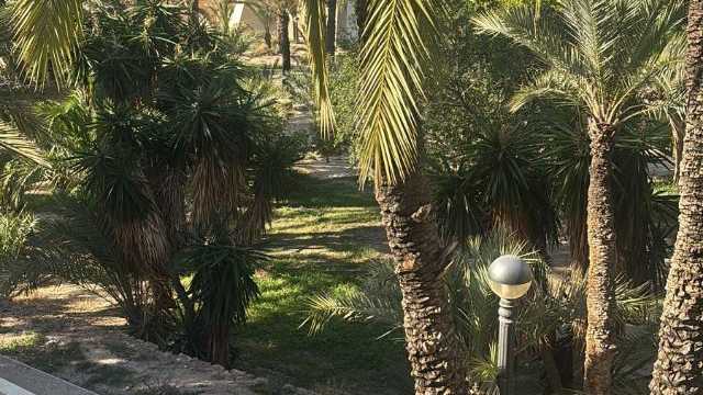 Ayudante/a de Cocina y Friegaplatos