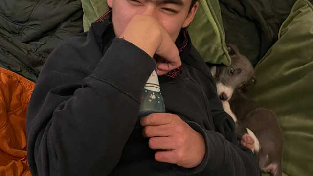 Waking night Support for SEN teenager