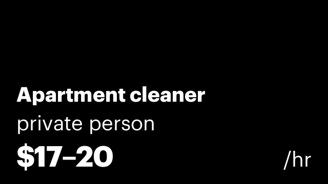Apartment cleaner